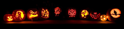 Pumpkin Panorama, Photo Argus
