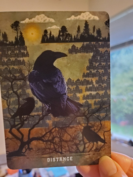 Urban Crow Oracle Deck, Distance